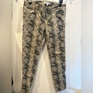 CAbi Snake Print Pants